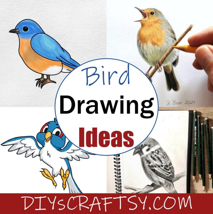 Drawing And Sketching - DIYsCraftsy