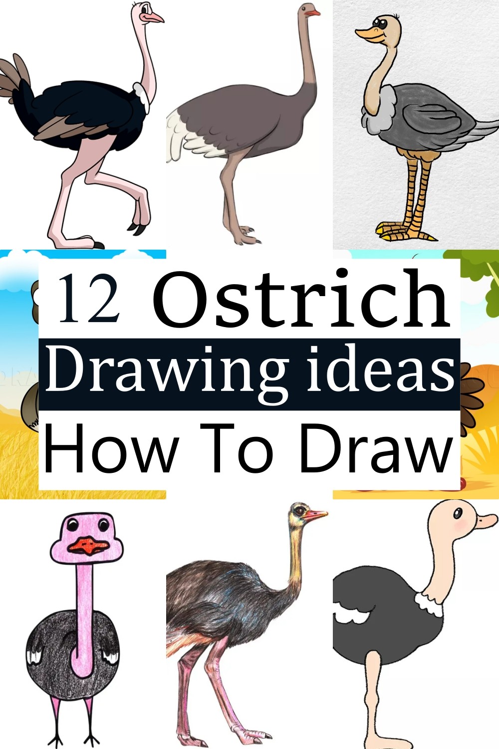 12-ostrich-drawing-ideas-how-to-draw-ostrich-diyscraftsy